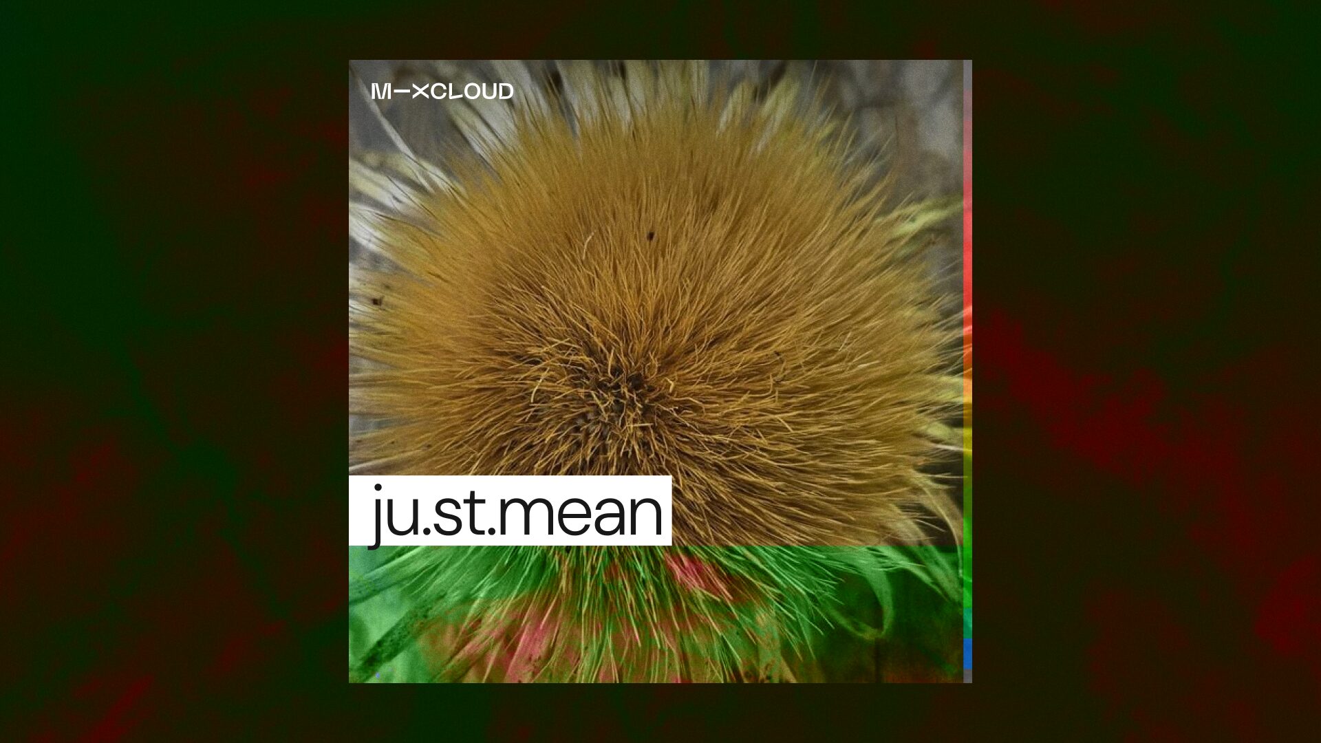 Our Ancestral Rhythms DJ Competition Has A Winner